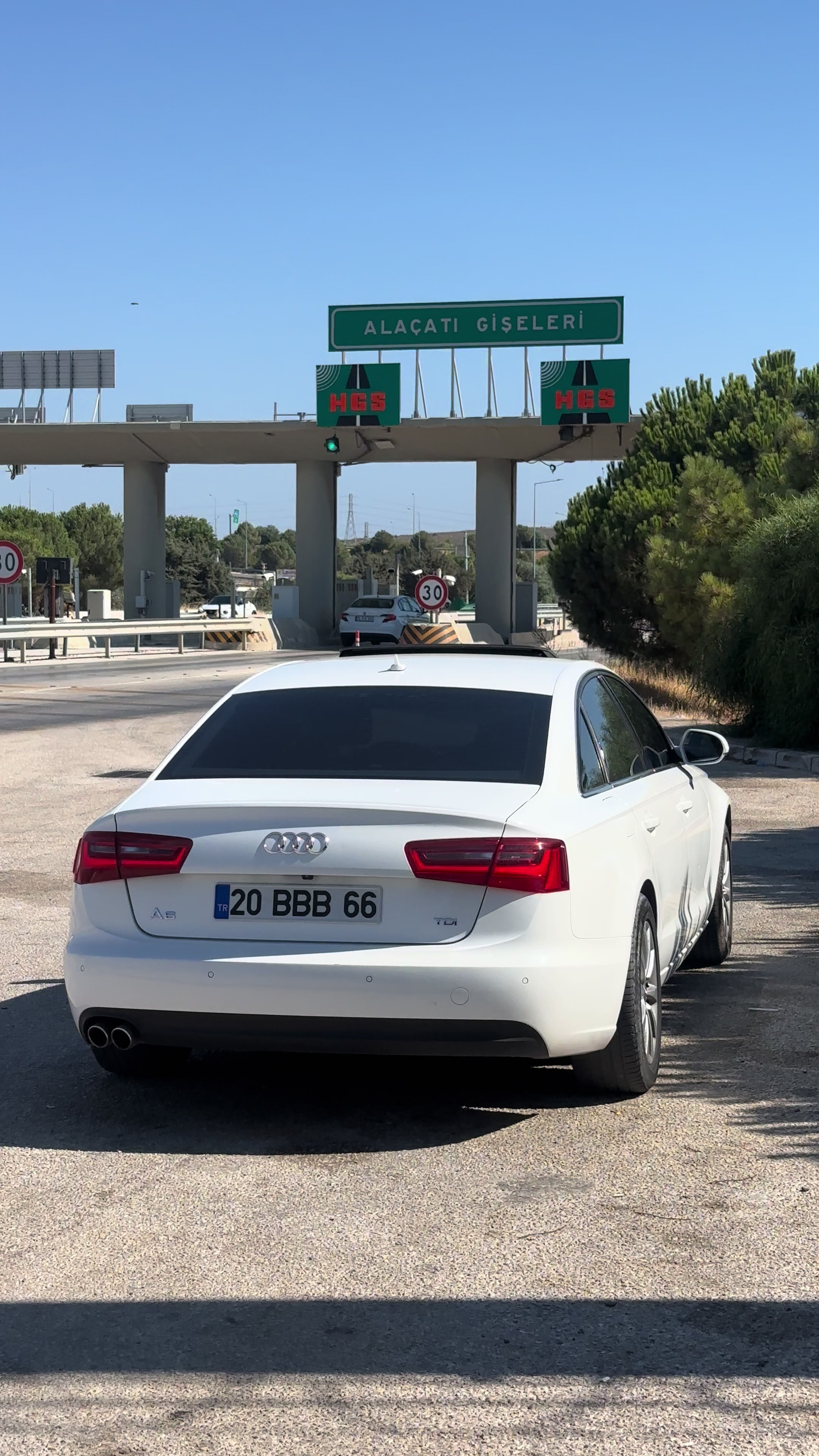 @Ali Kuş