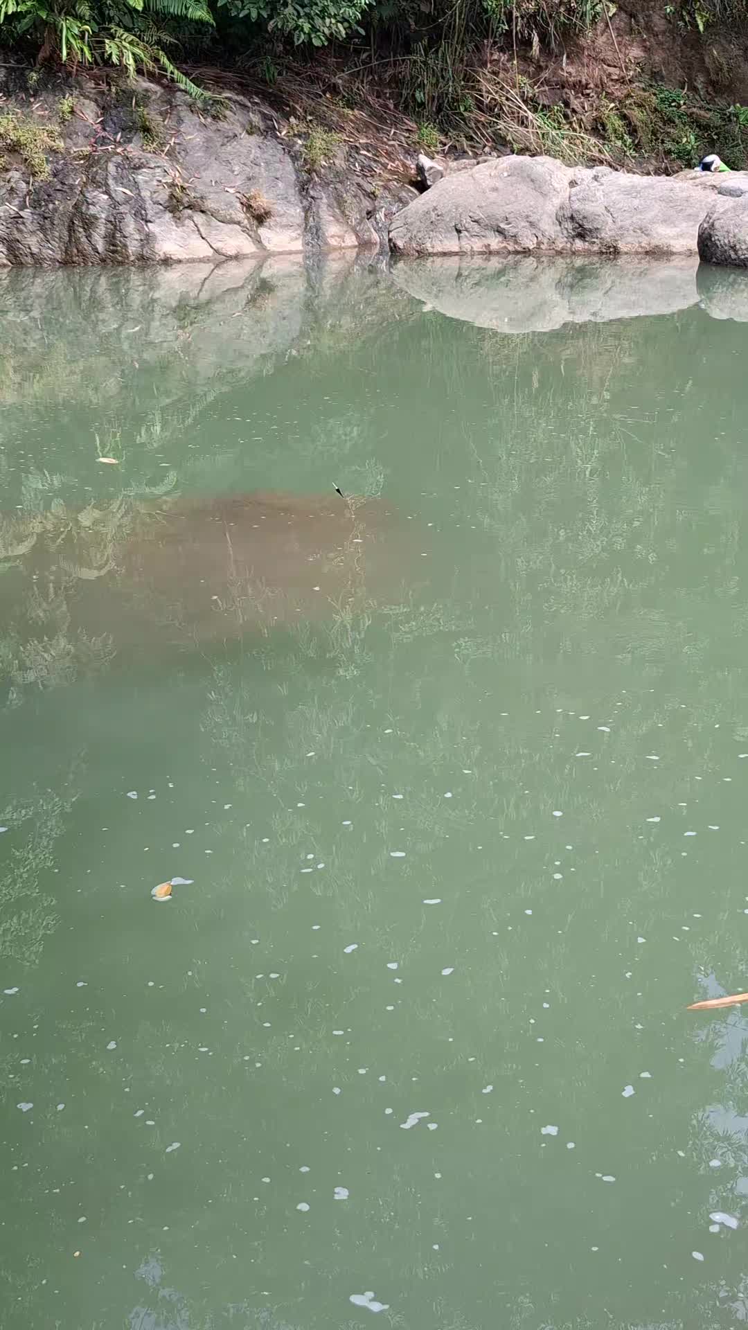 @Gasle Fishing
