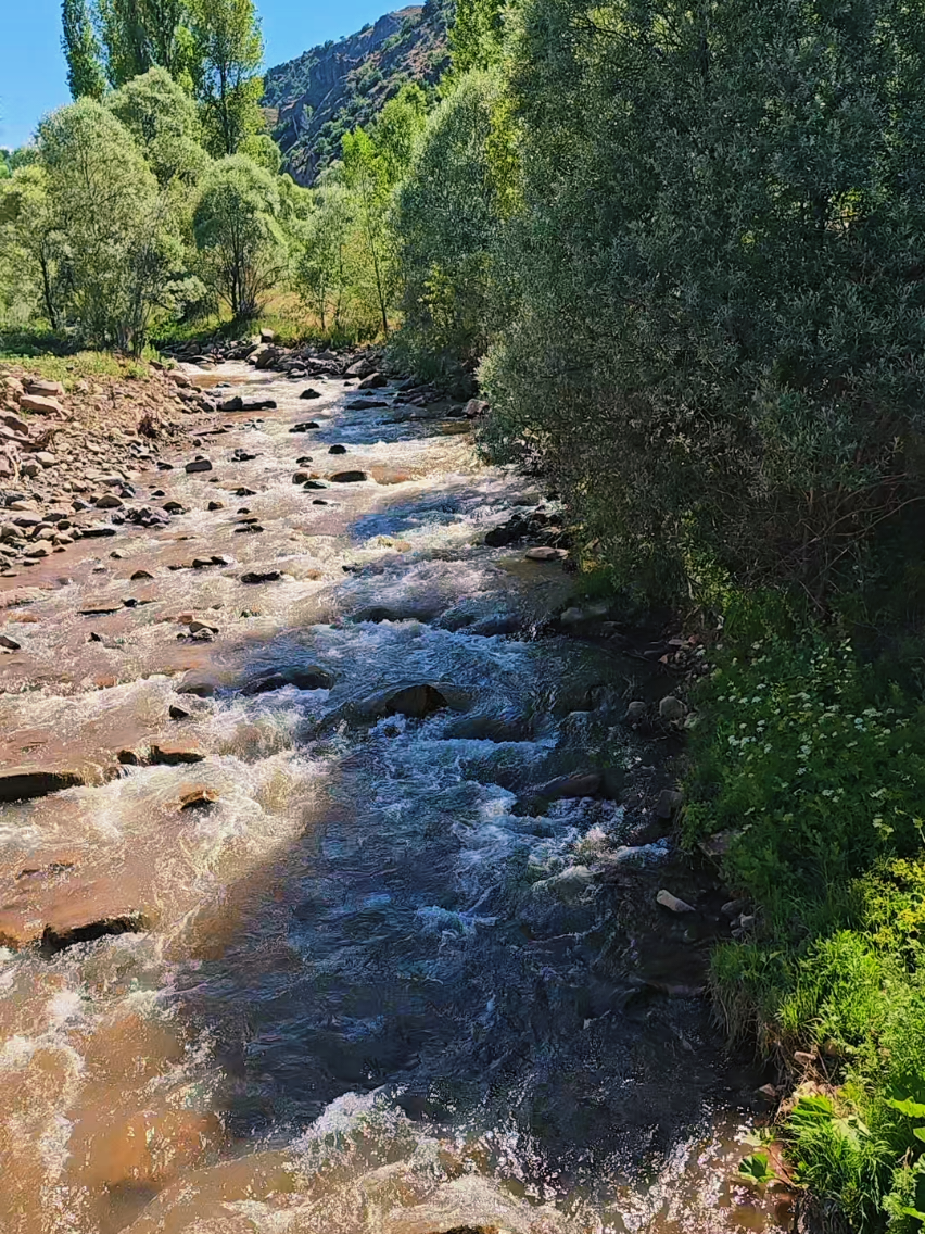 @de_mir.han_33