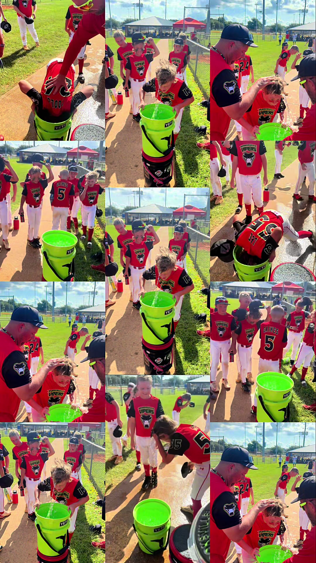 @Brooksville Vipers Baseball