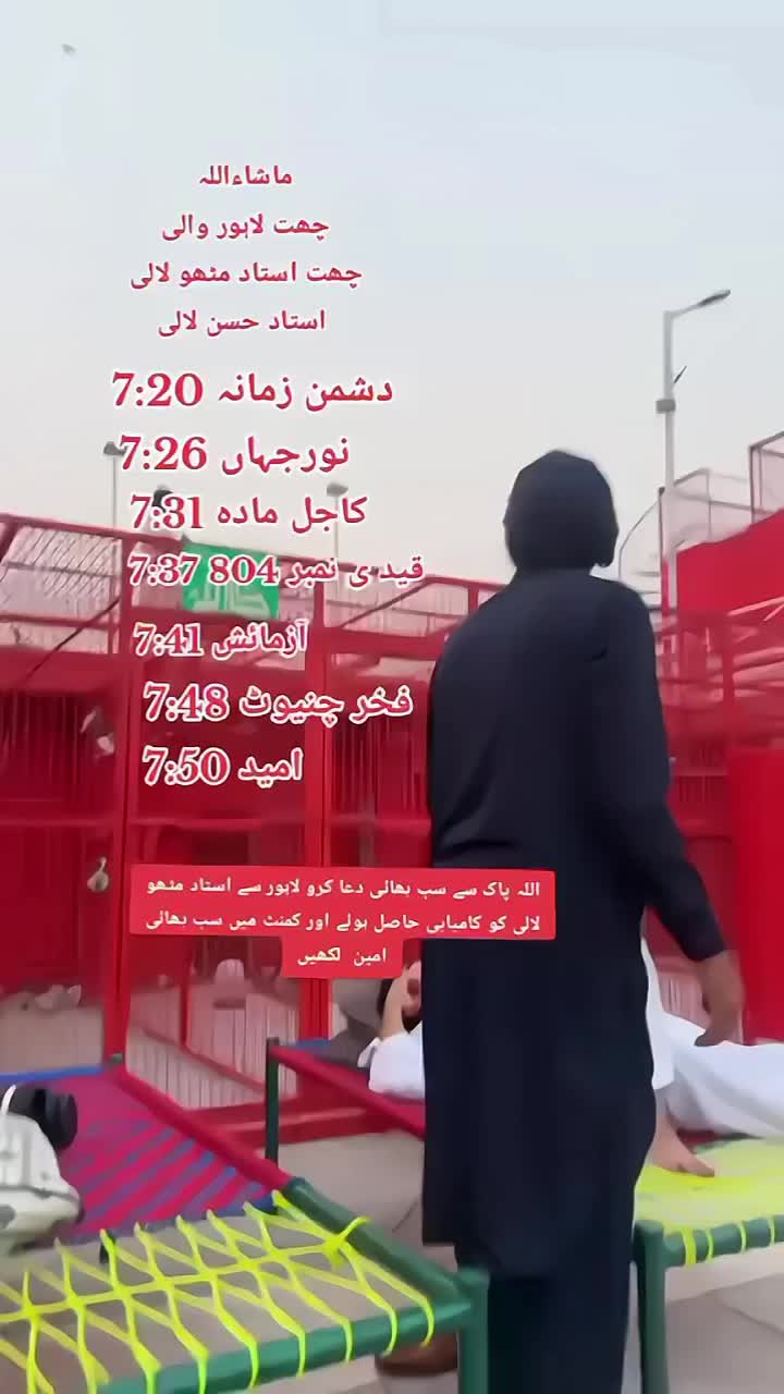 @Piplan pigeons Sale point๐