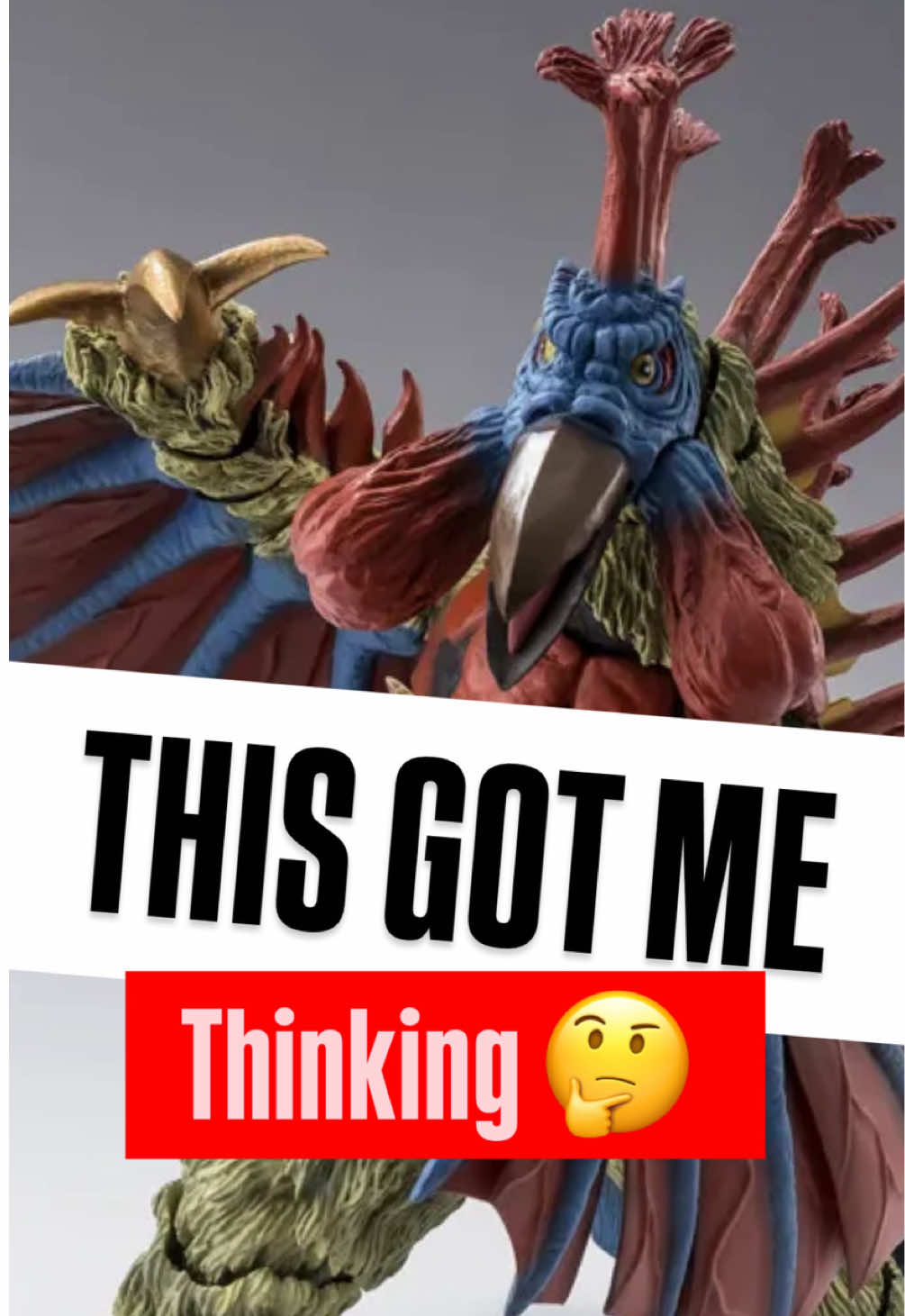 @toys4taco