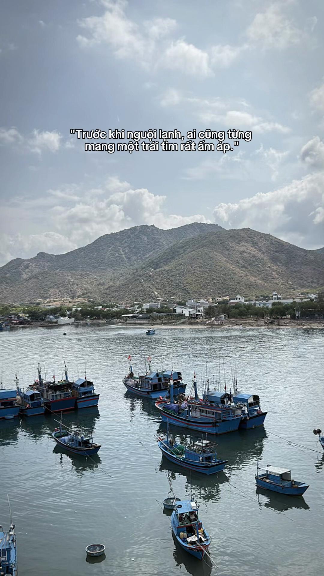 @Hồng V&acirc;n Đ&agrave;o Tạo L&aacute;i Xe