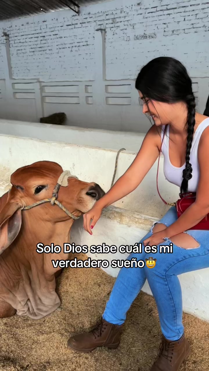 @Valeria Castañeda