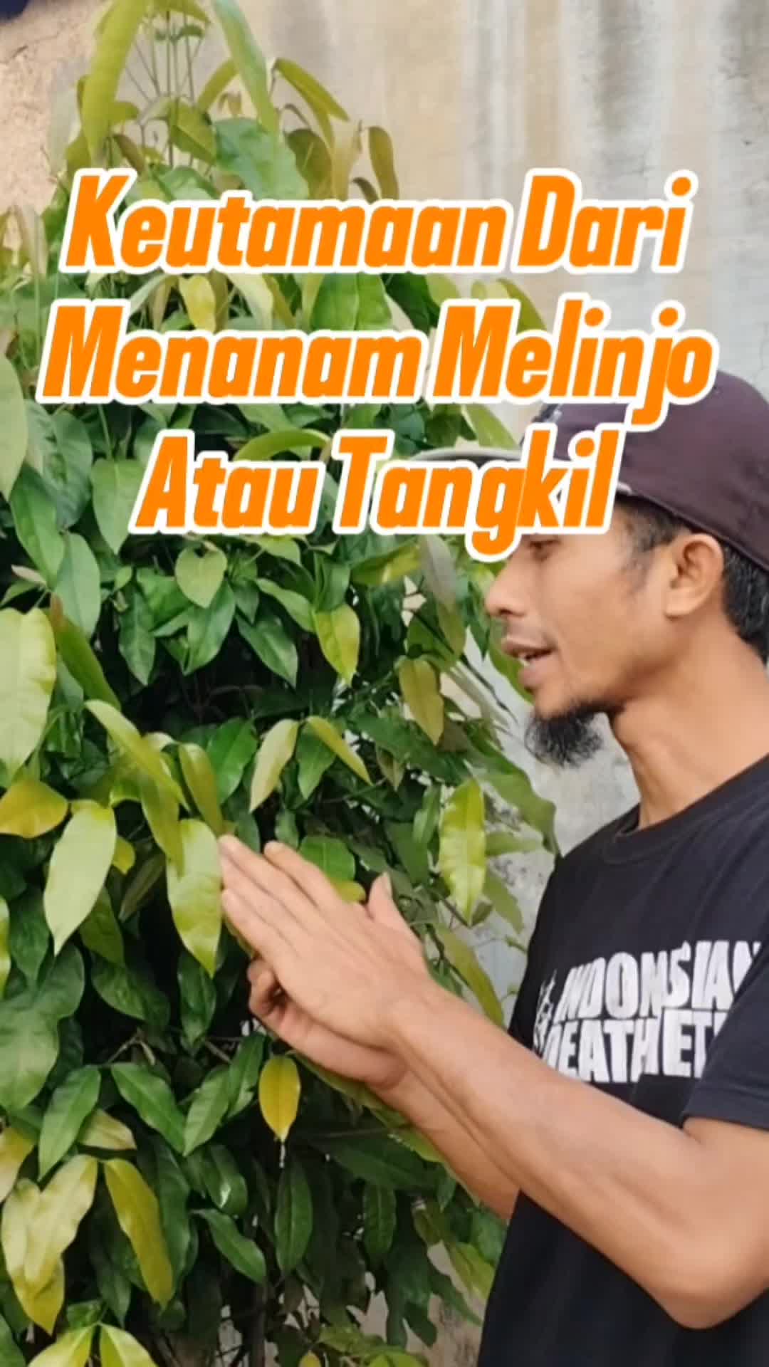 @Bukit Farming