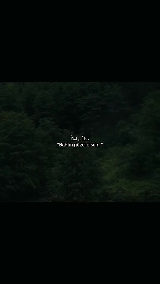 @𝑴𝒂𝒓𝒂𝒍