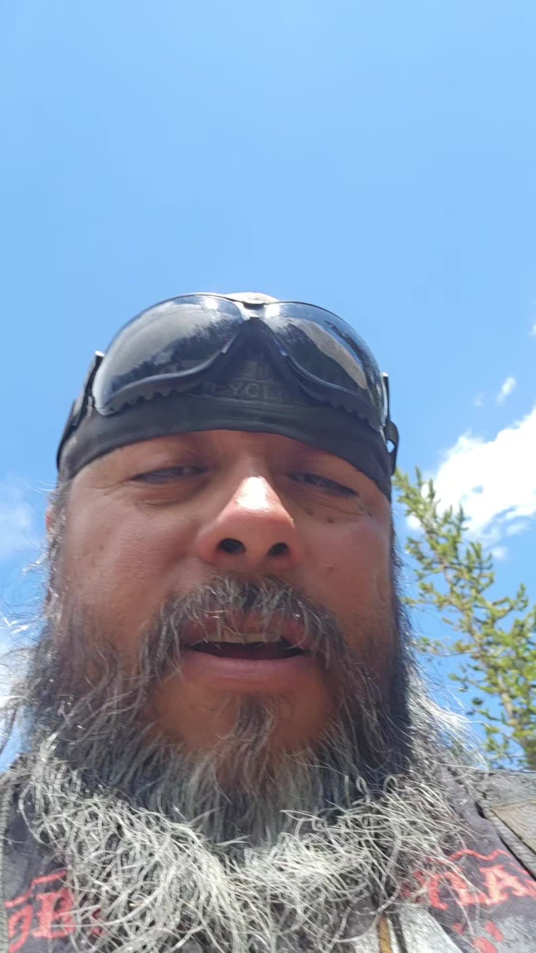 @fernandobenavide526