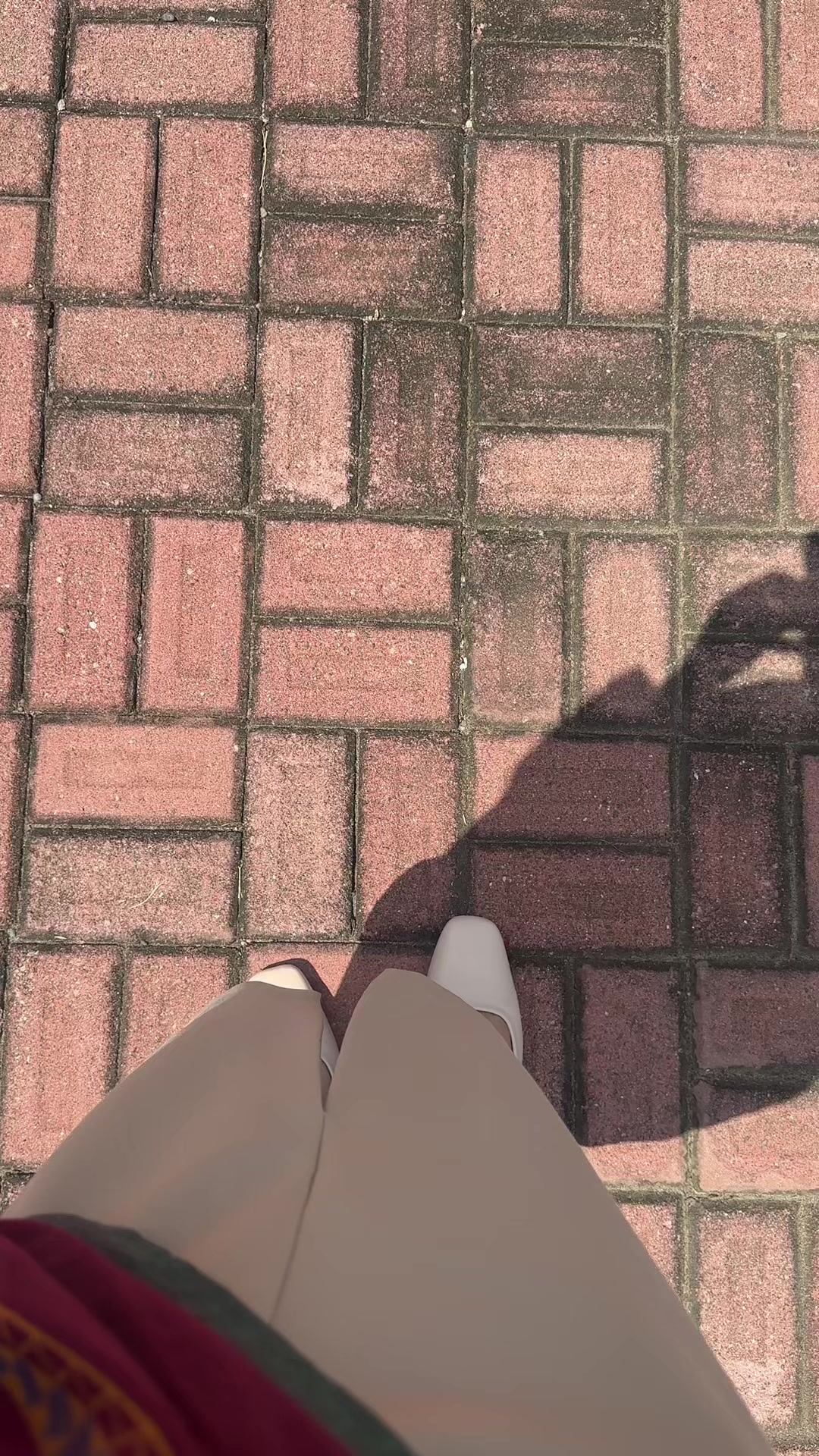 @Laluna 😽😽