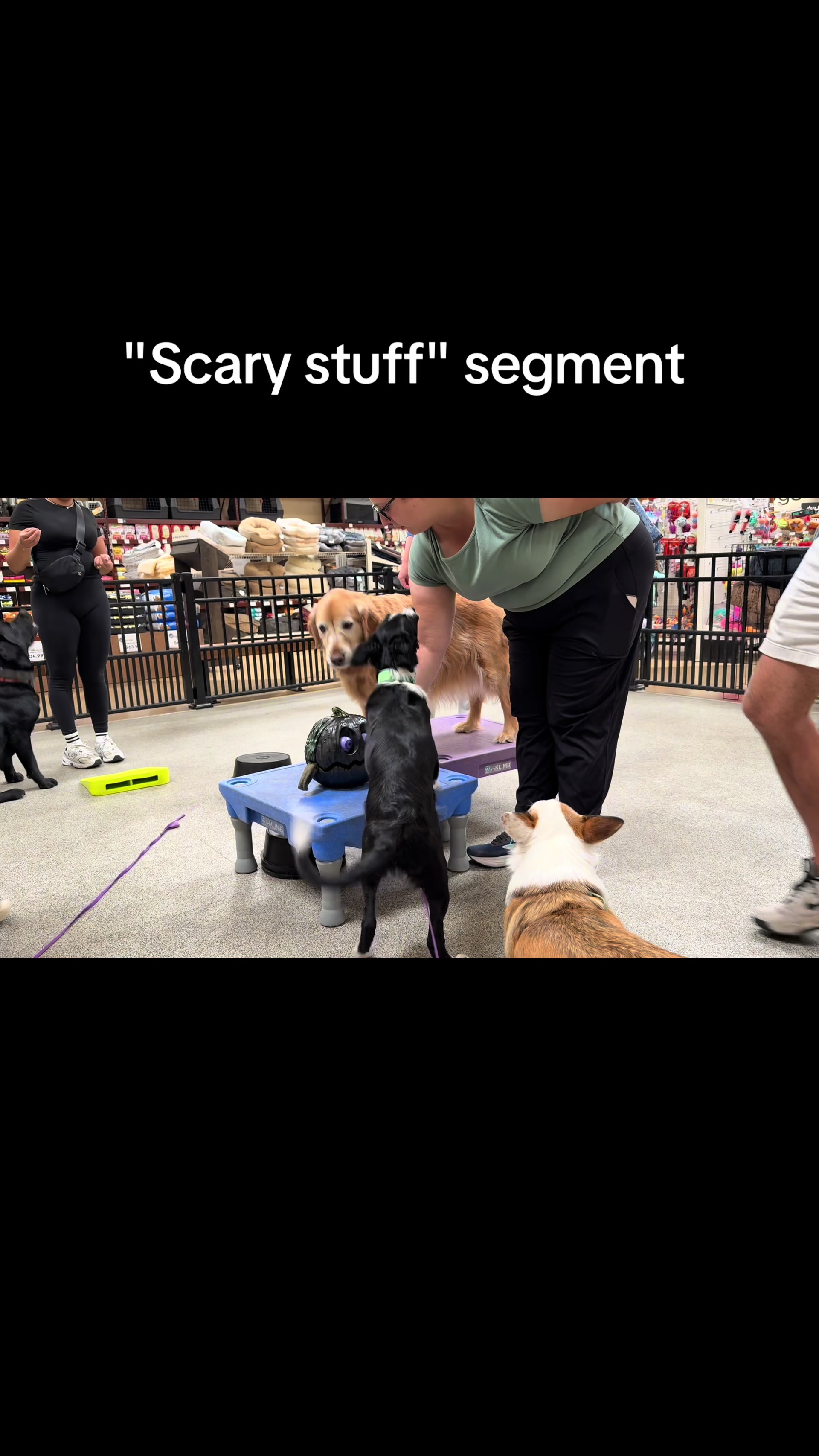 @FlexiblePetSolutions