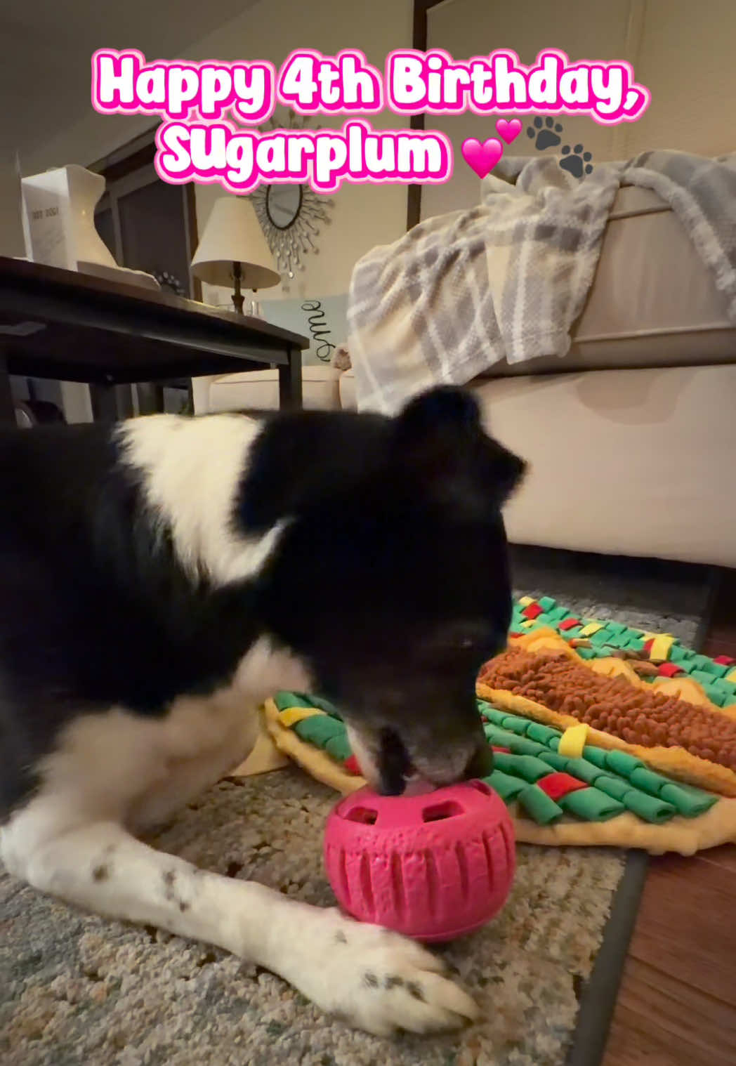 @Diamond Art Dog Mom