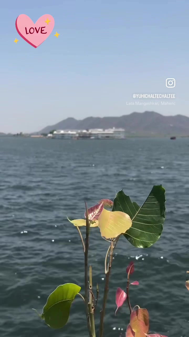 @v.arsha56