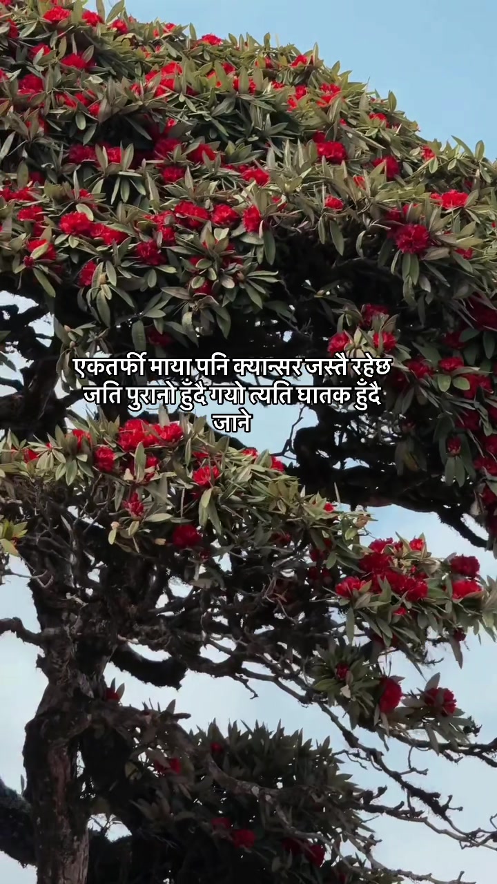 @Sunil