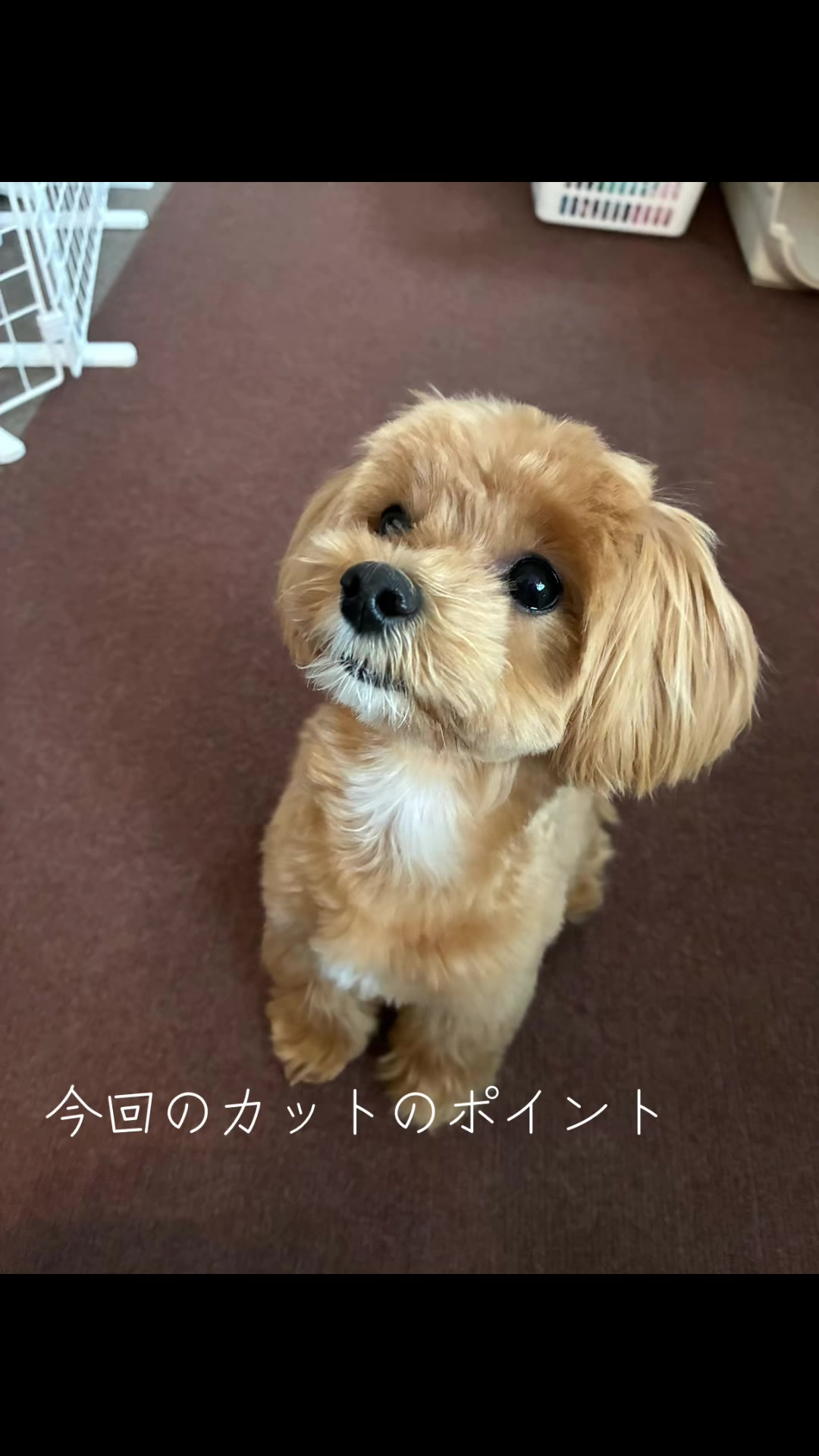 @ぱん