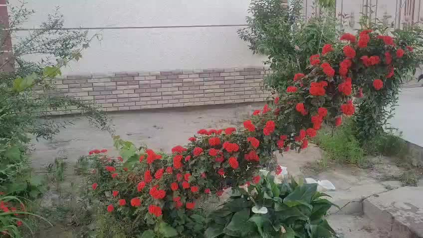 @Umidjon