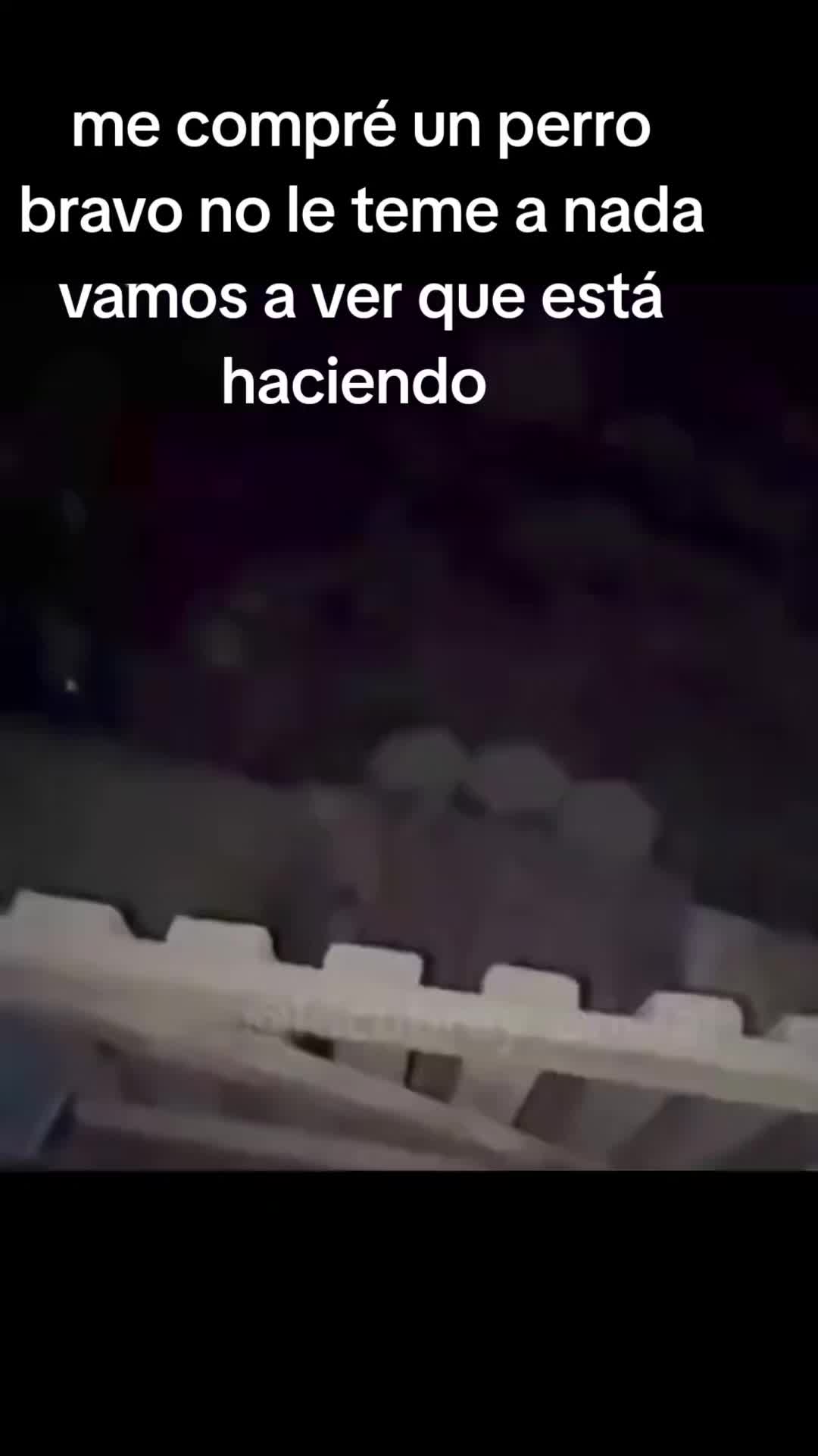 @G .. maldonado