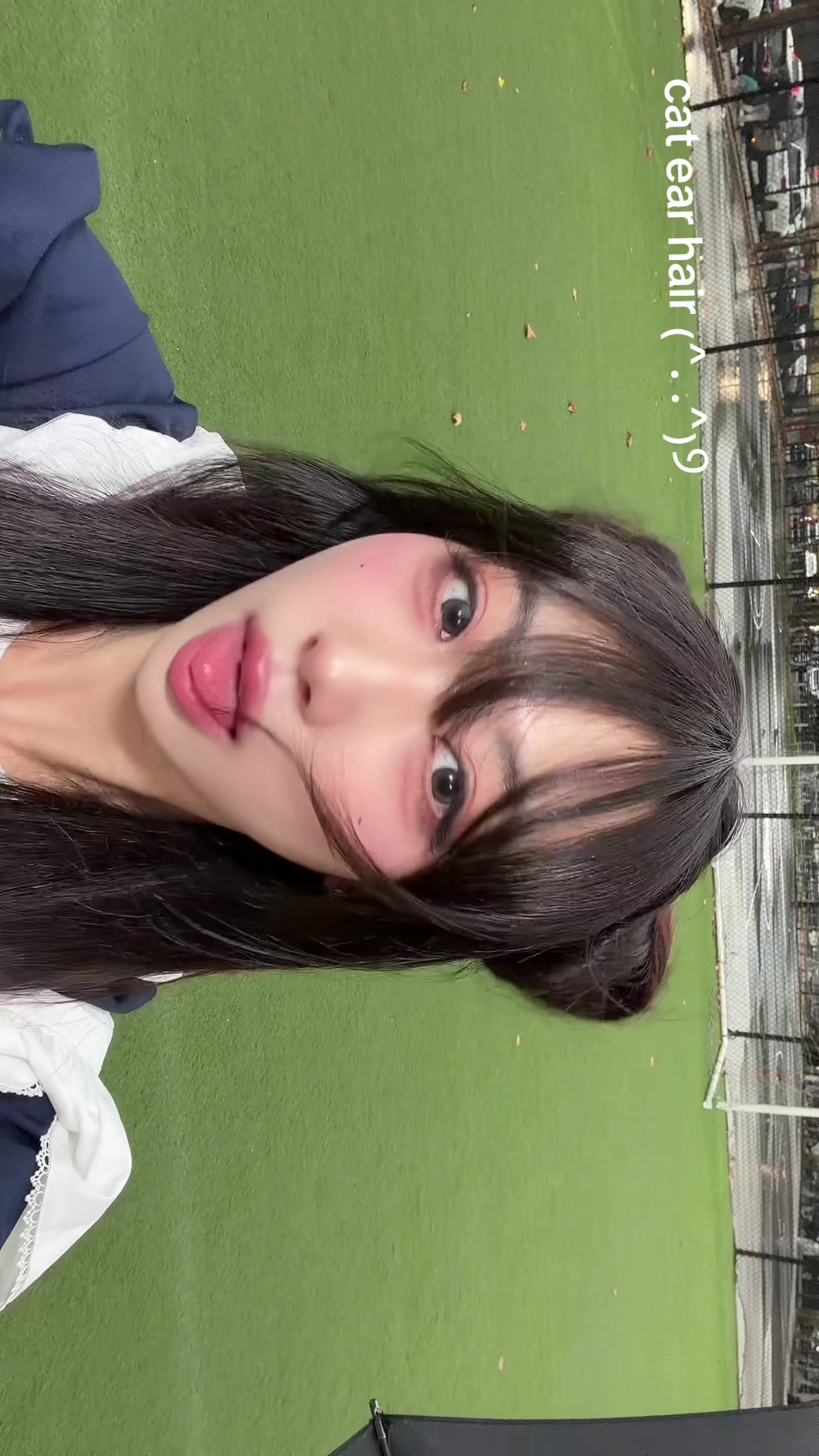 @mollyshen