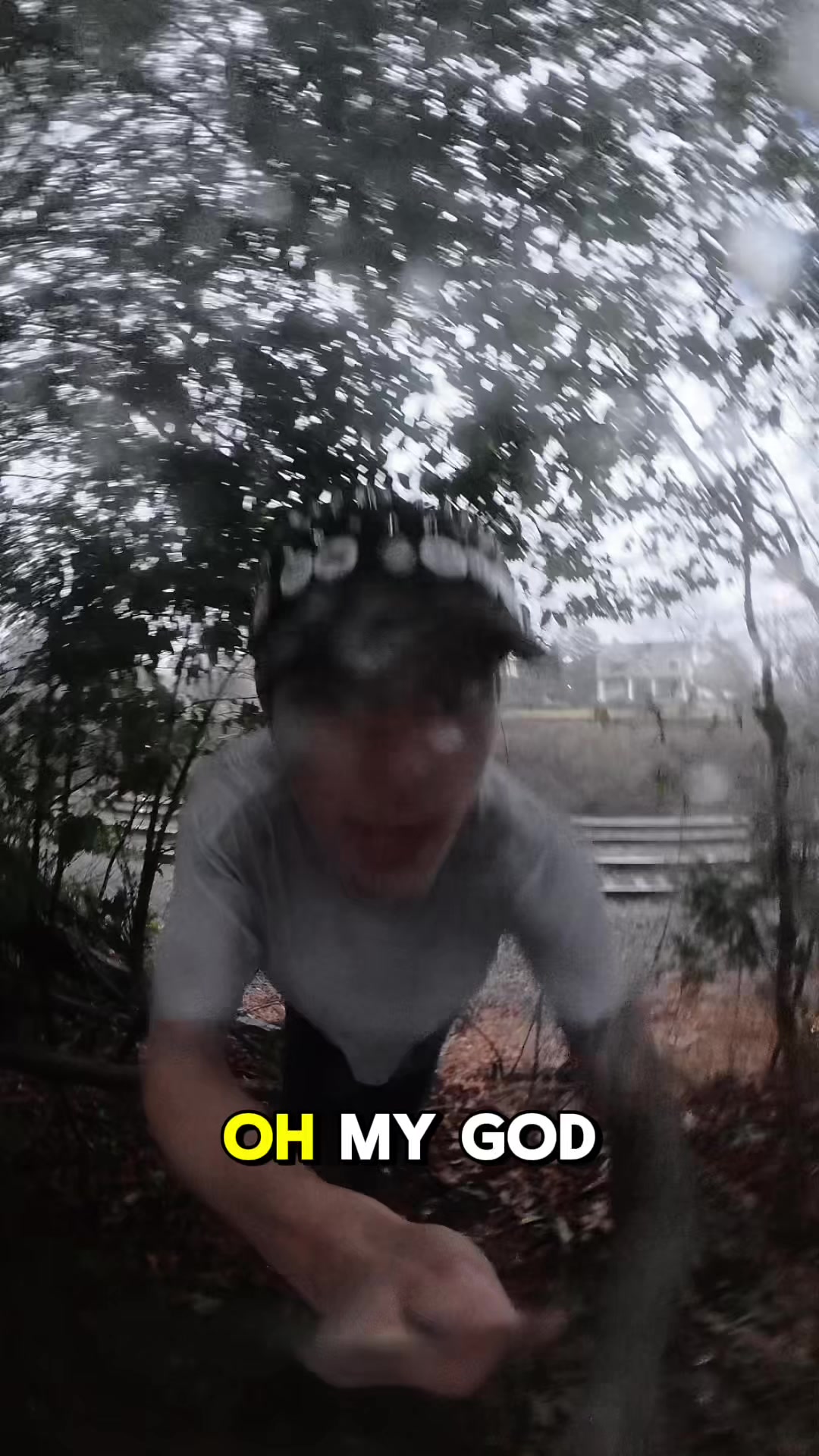@🦊 🛻