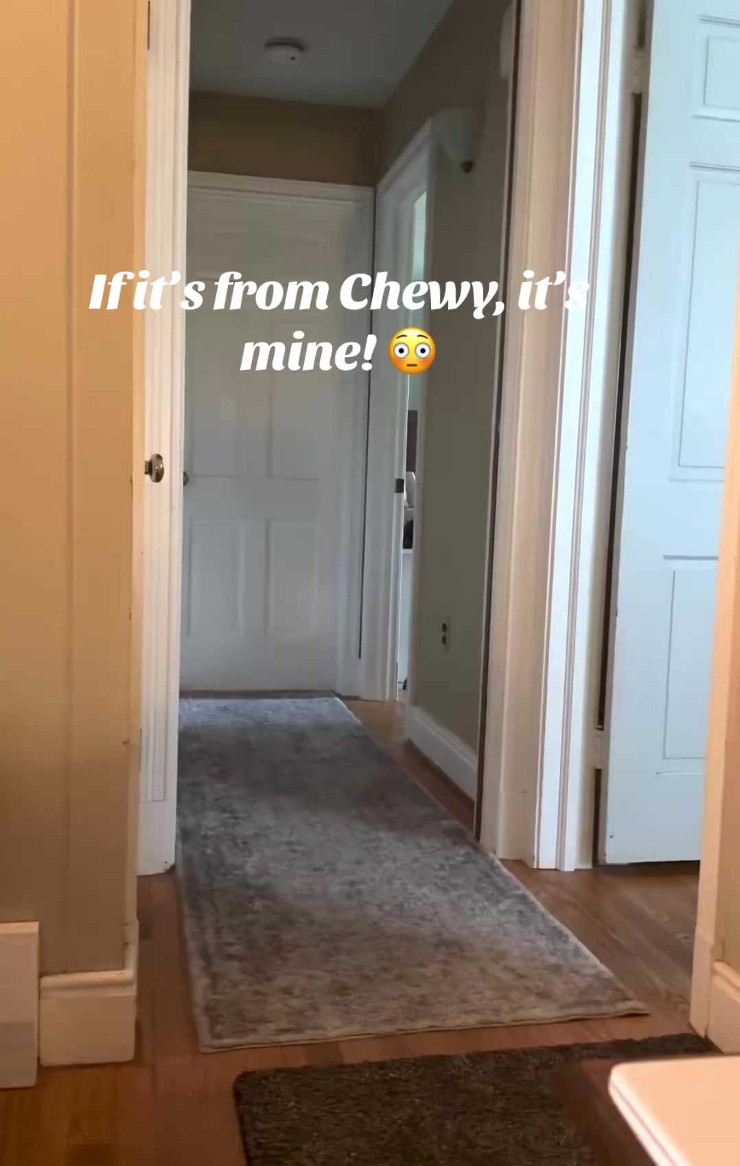 @lifewithduke2025