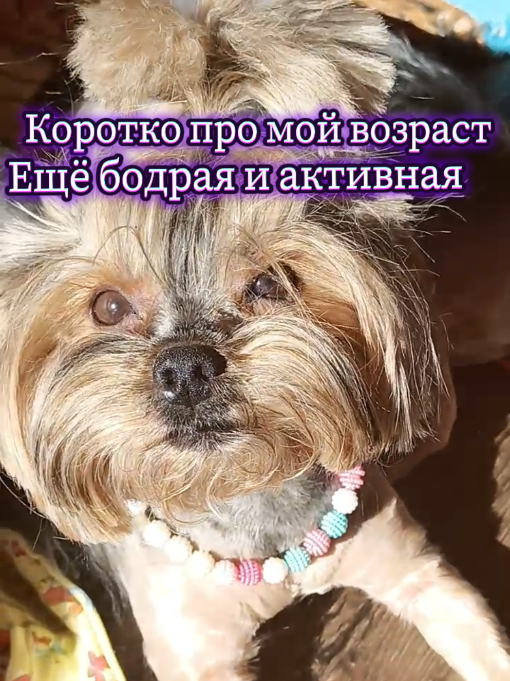 @Соня и Бетти ❤️