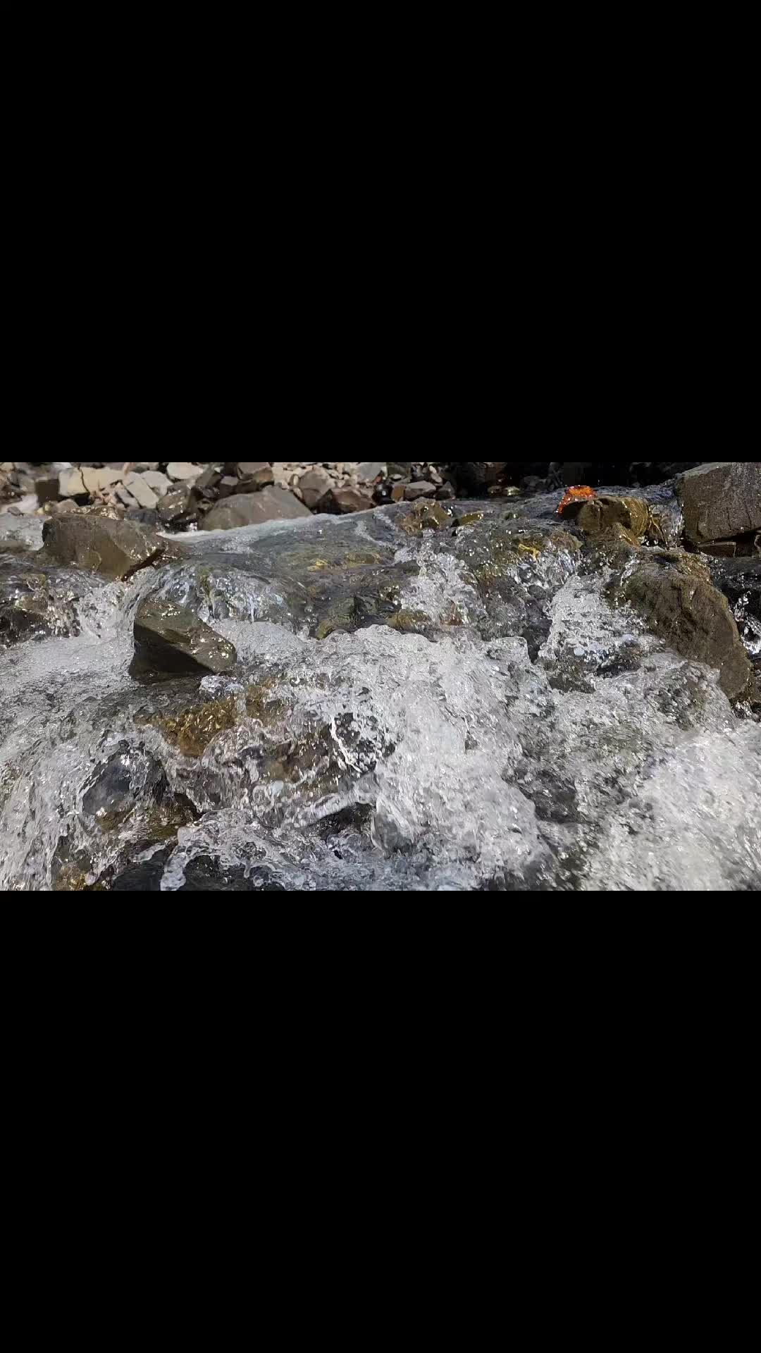 @xeyal.alicanov