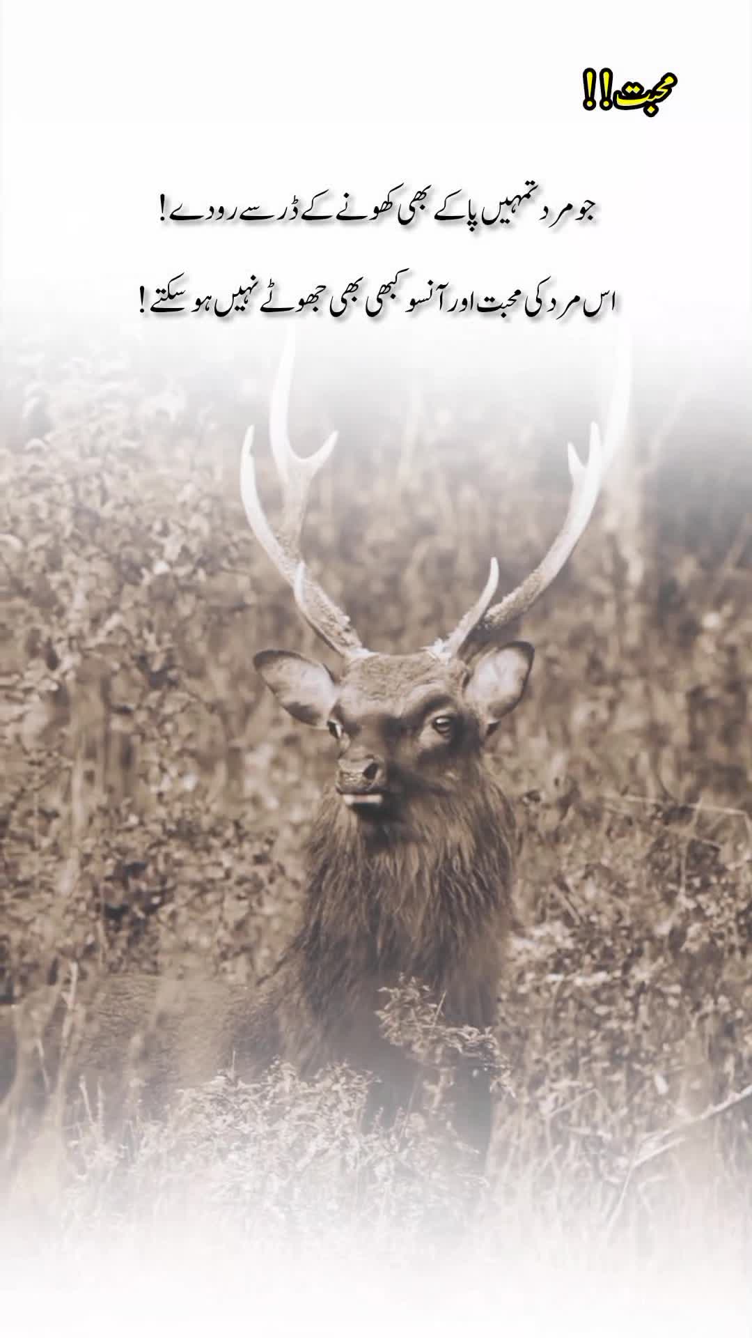 @درد دل