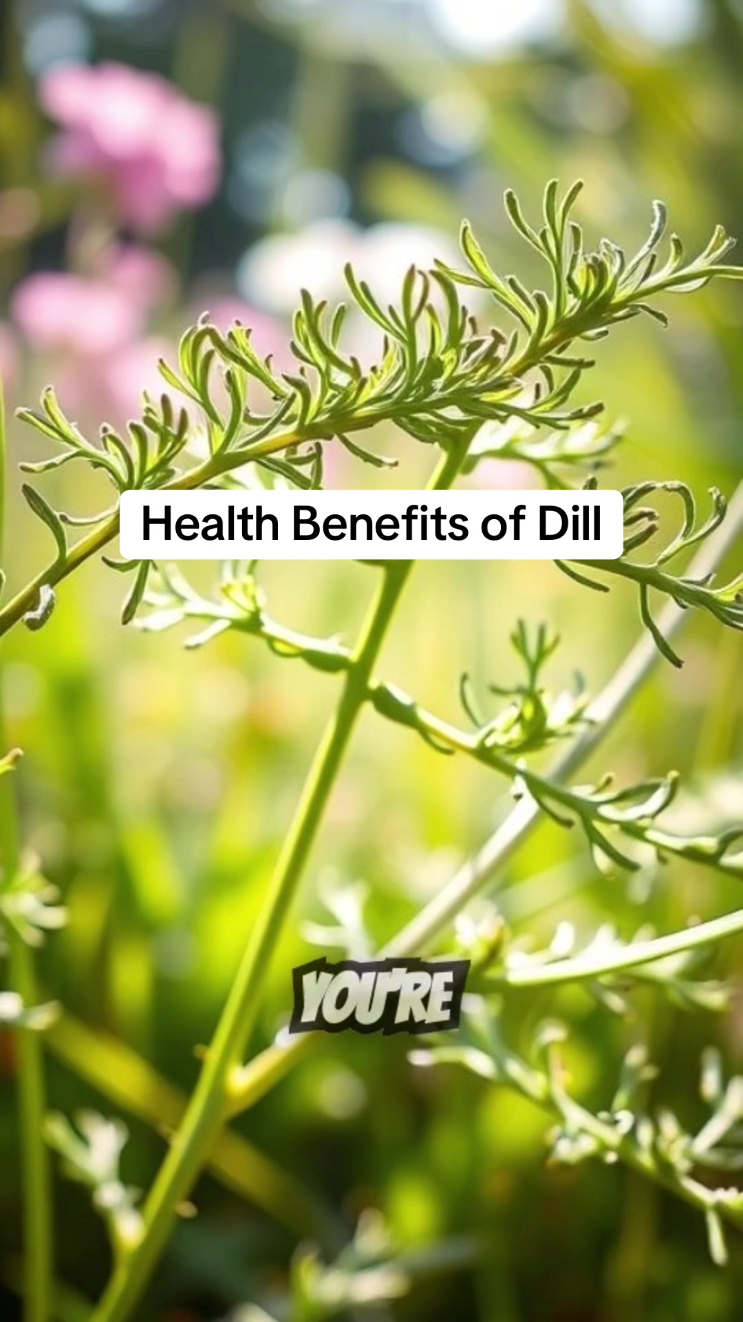 @The Health Benefits Of…