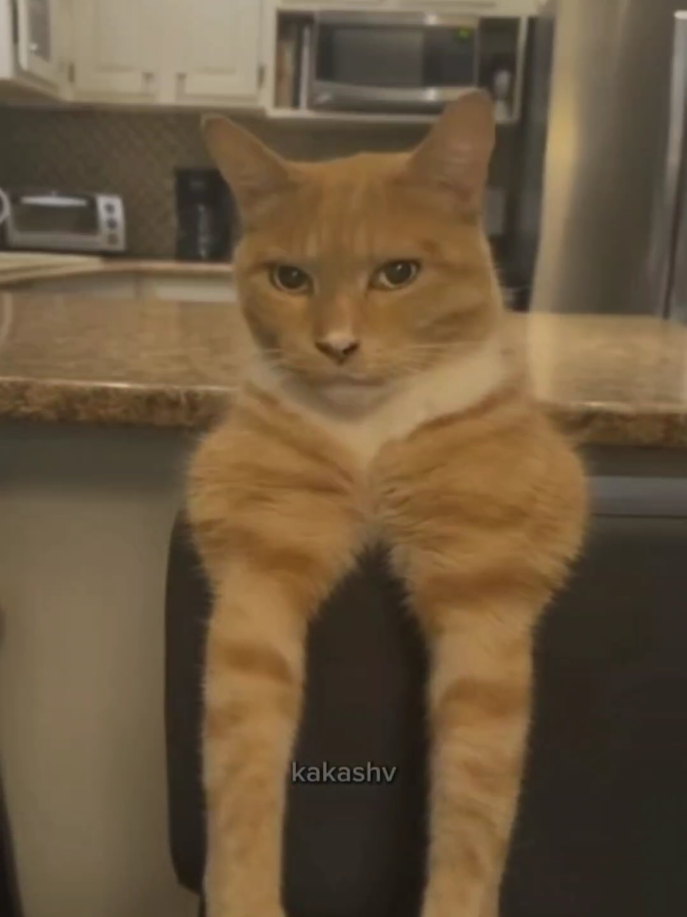 @kakashv ☀️