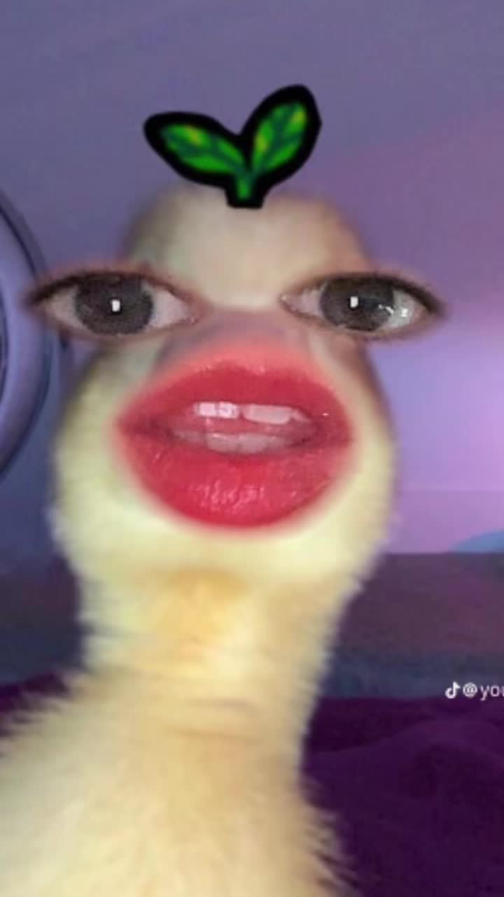 @karenmtzz16