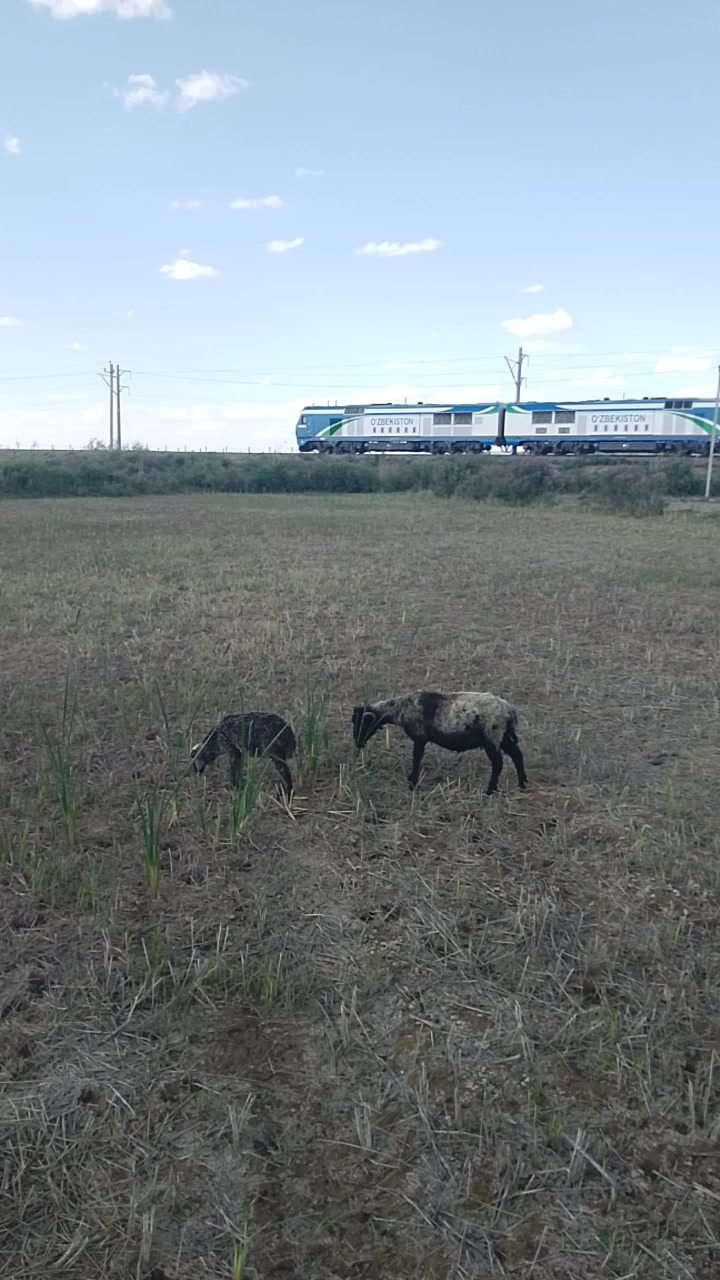 @Kayrat Axmedov