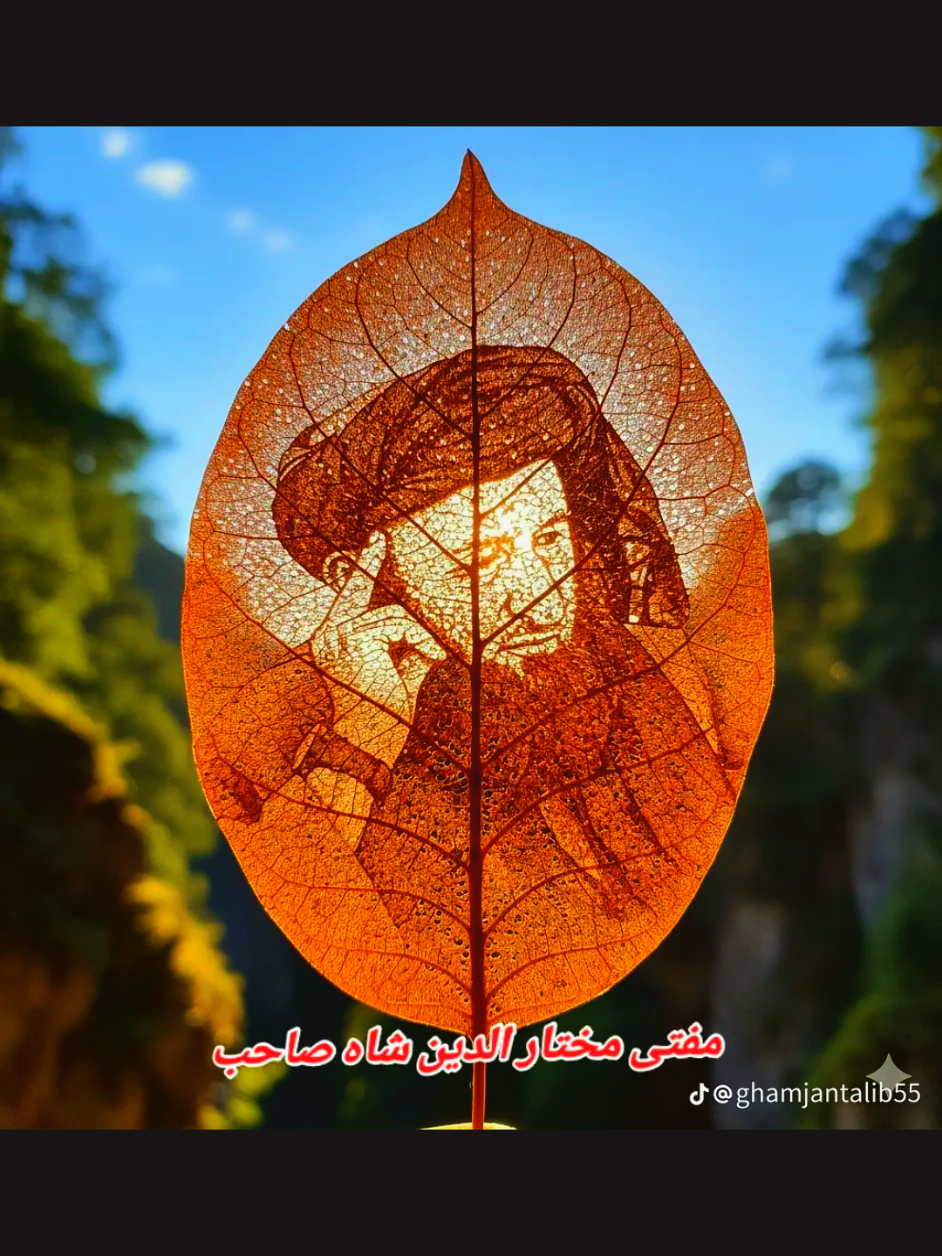 @Hamad waqas