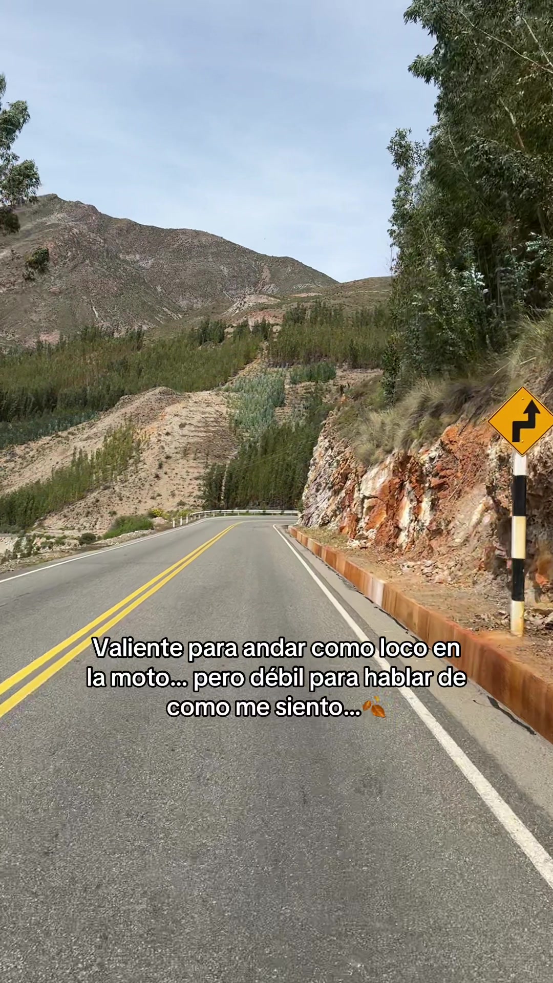 @Libertad Biker