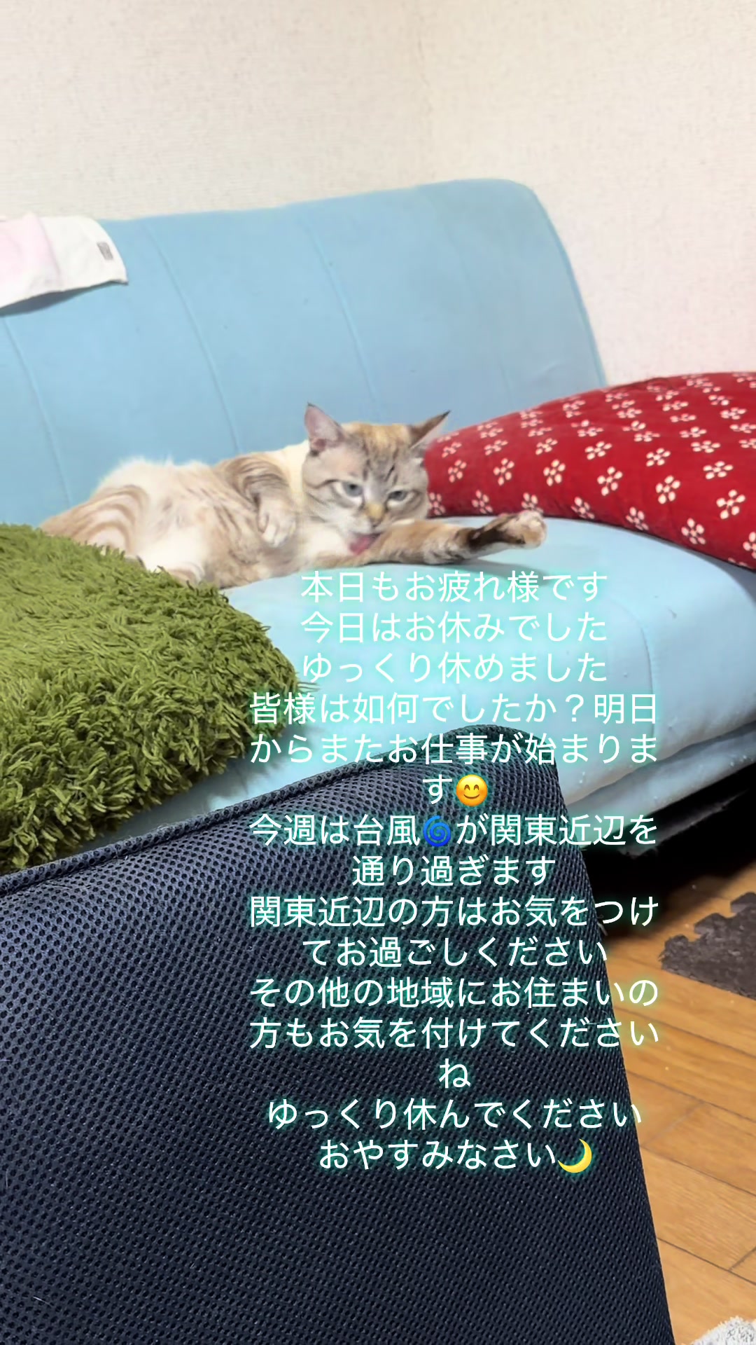 @🥀黒澤正志🥀