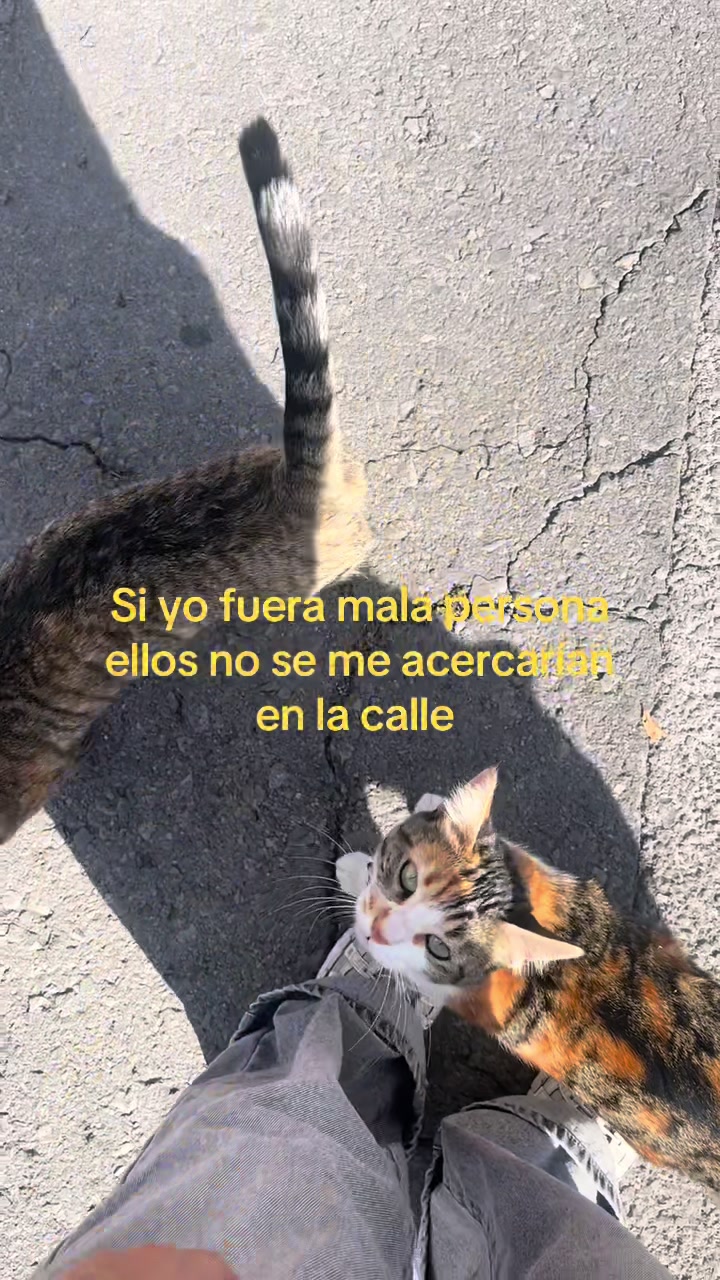 @Yami🤍