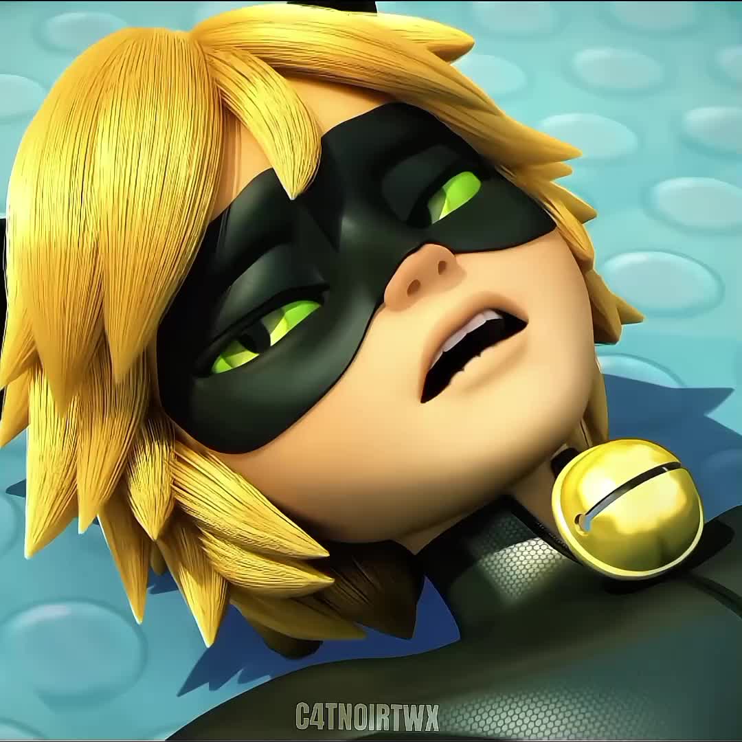 @c4tnoirtwx