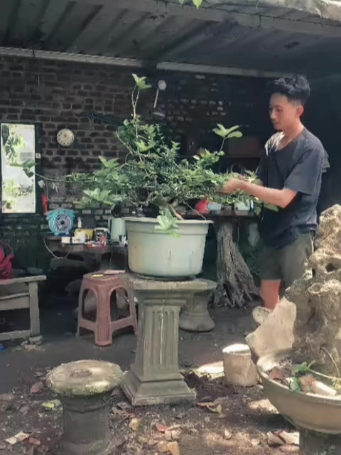 @KOMANDAN UK