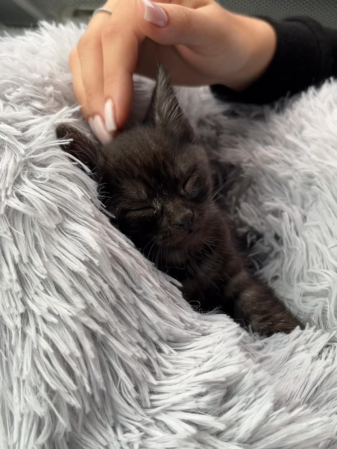 @kitty_masya