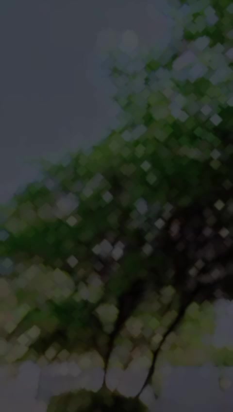 @zain khokhar😊🤨