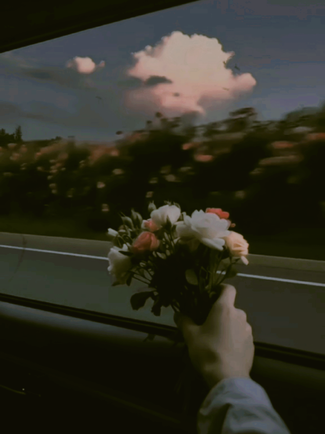 @꧁🦋𝑵𝑨𝑹𝑮𝑰𝑺 𝑰𝑺𝑳𝑨𝑴🦋꧂