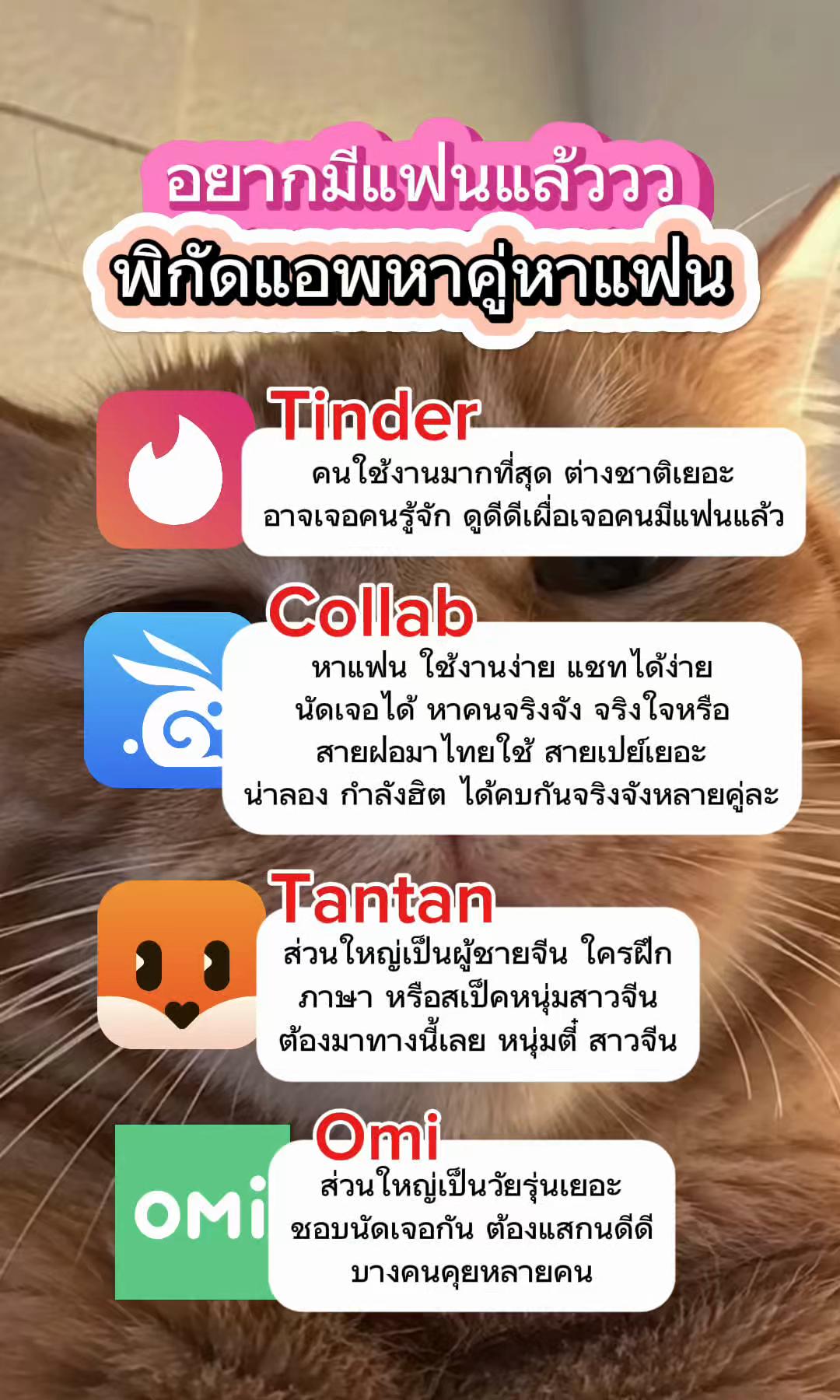 @Collab คนเหงา