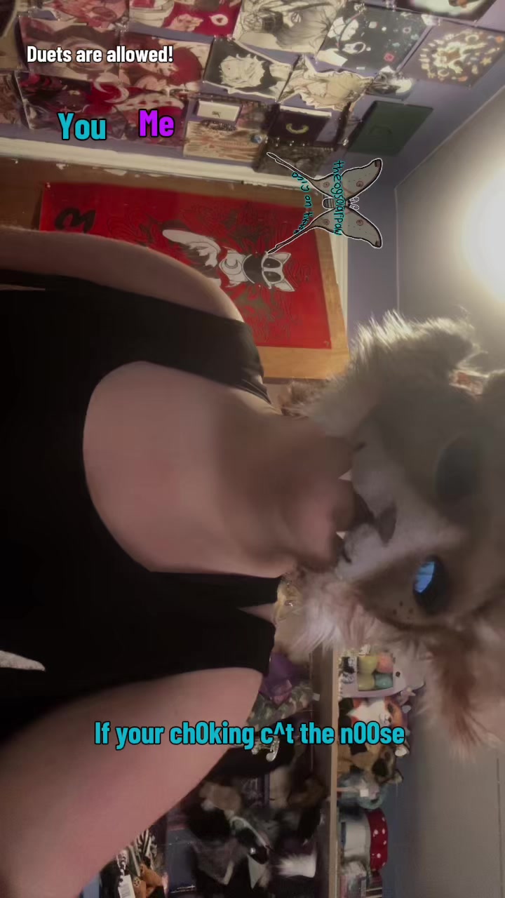 @Solar’paw