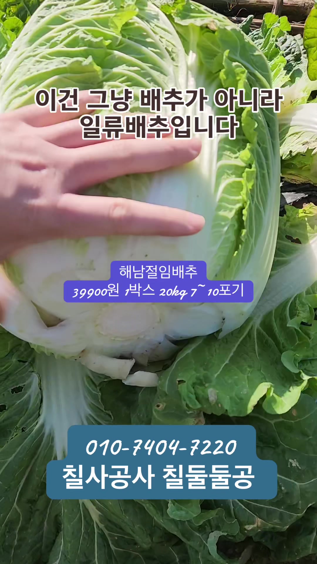 @프루트빌리지