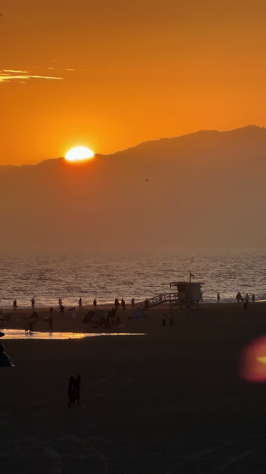 @Venice Beach Boardwalk