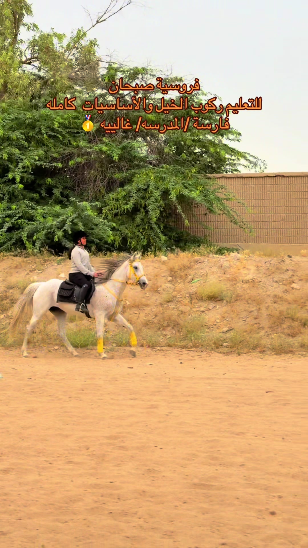 @فروسية صبحان ☑️🥇