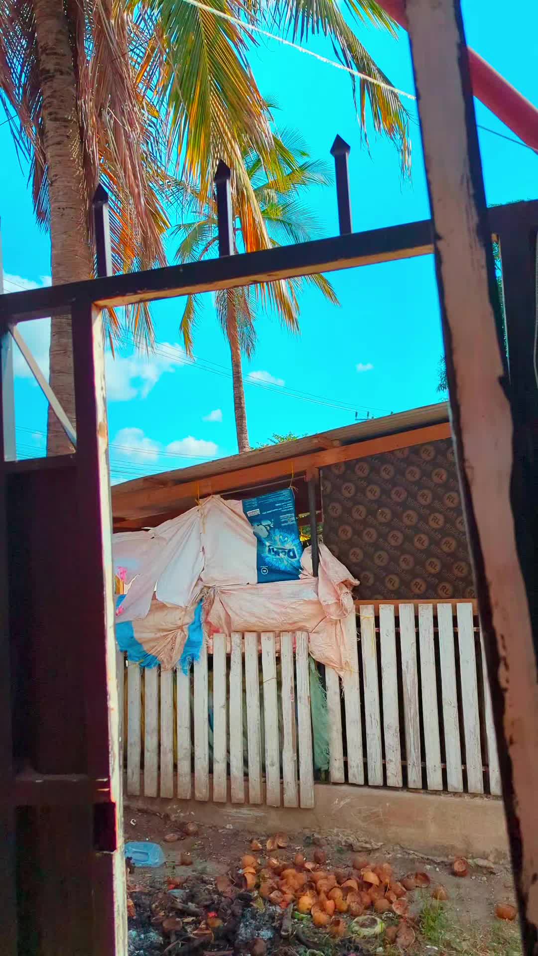 @mpanyura_comedian