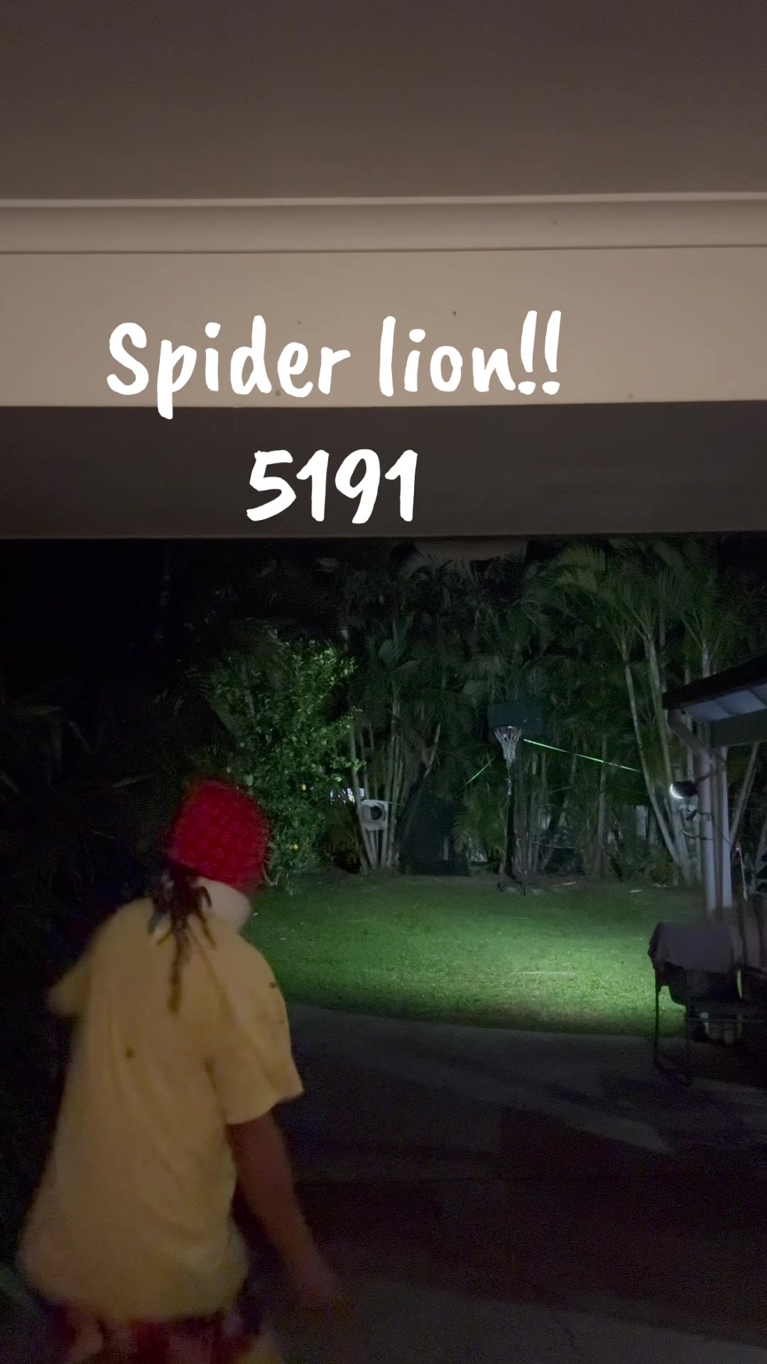 @Chook Lion