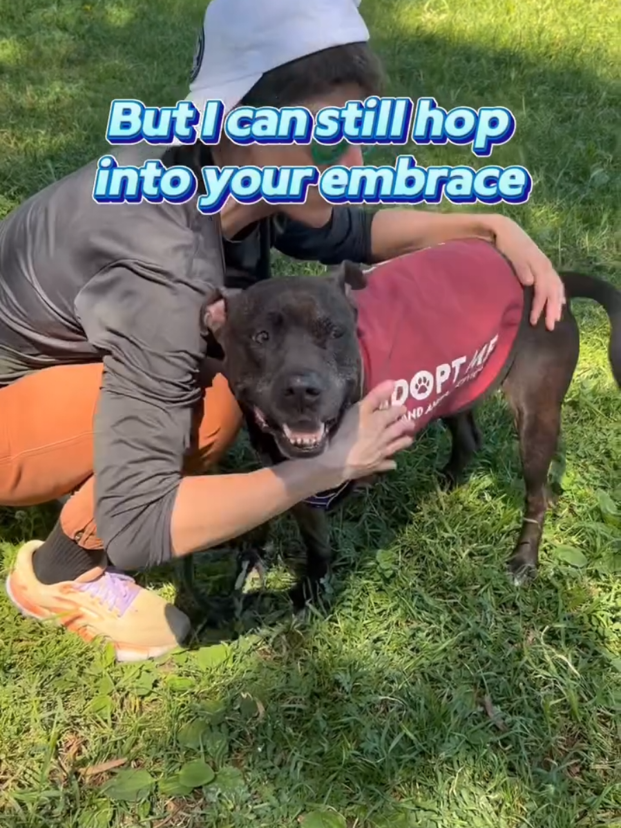 @Oakland Animal Services