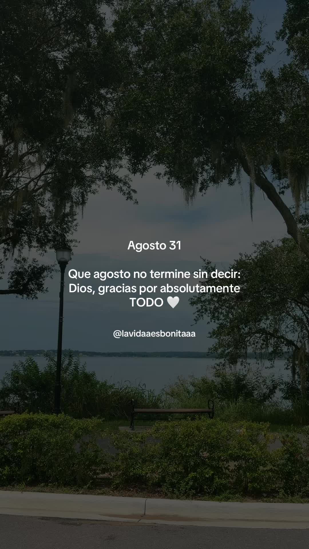 @vidabonita❤️🩹