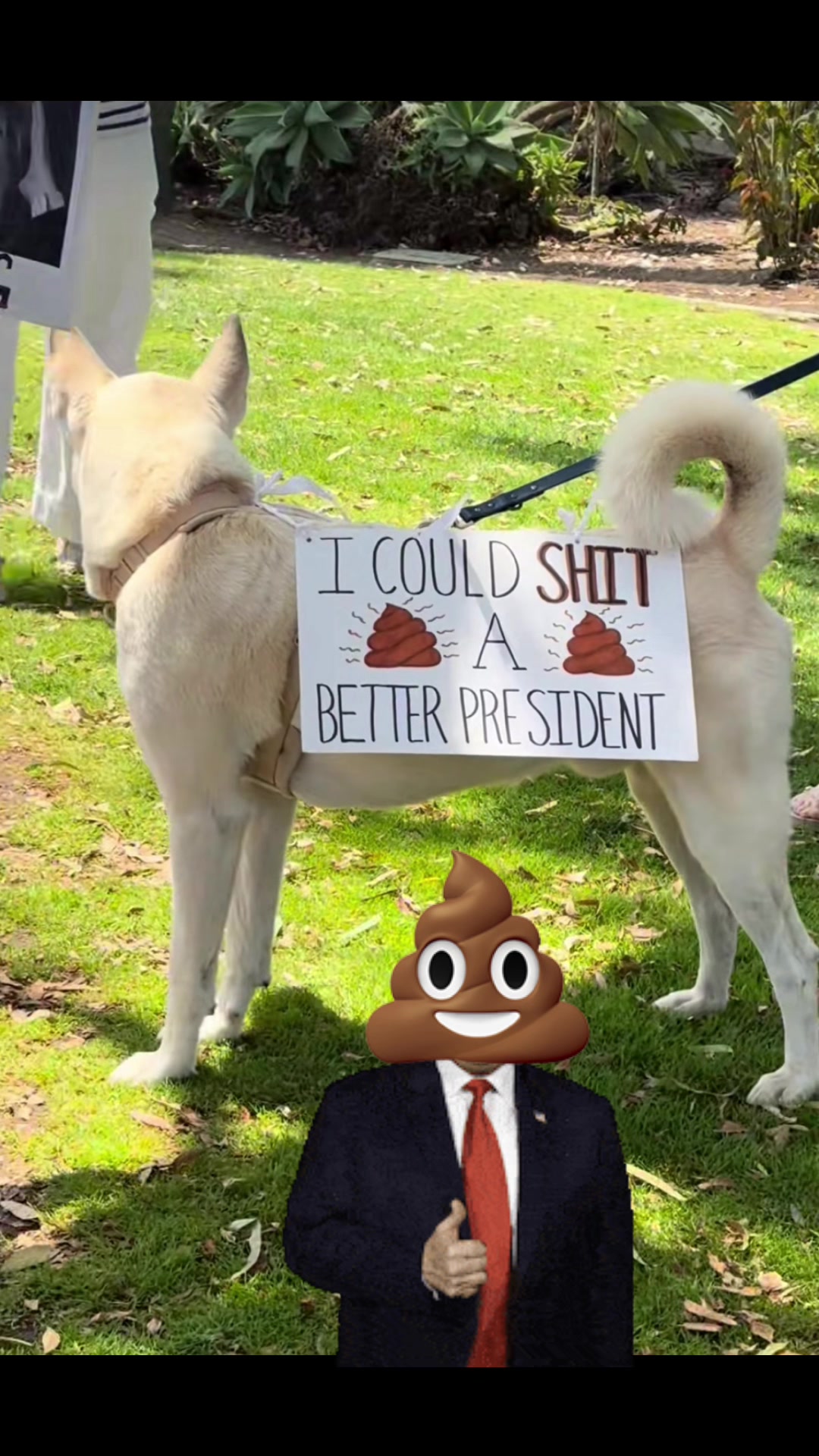 @DirtyRottenDog