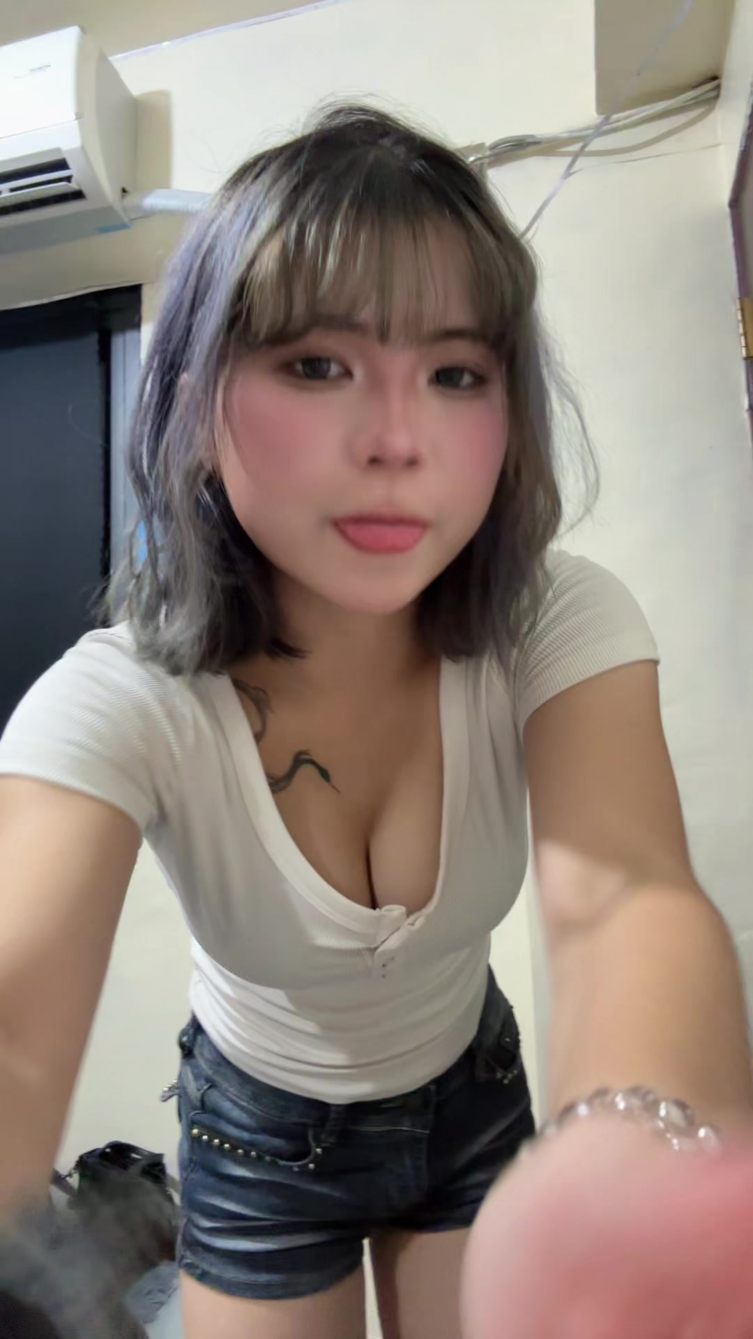 @海豹🦭