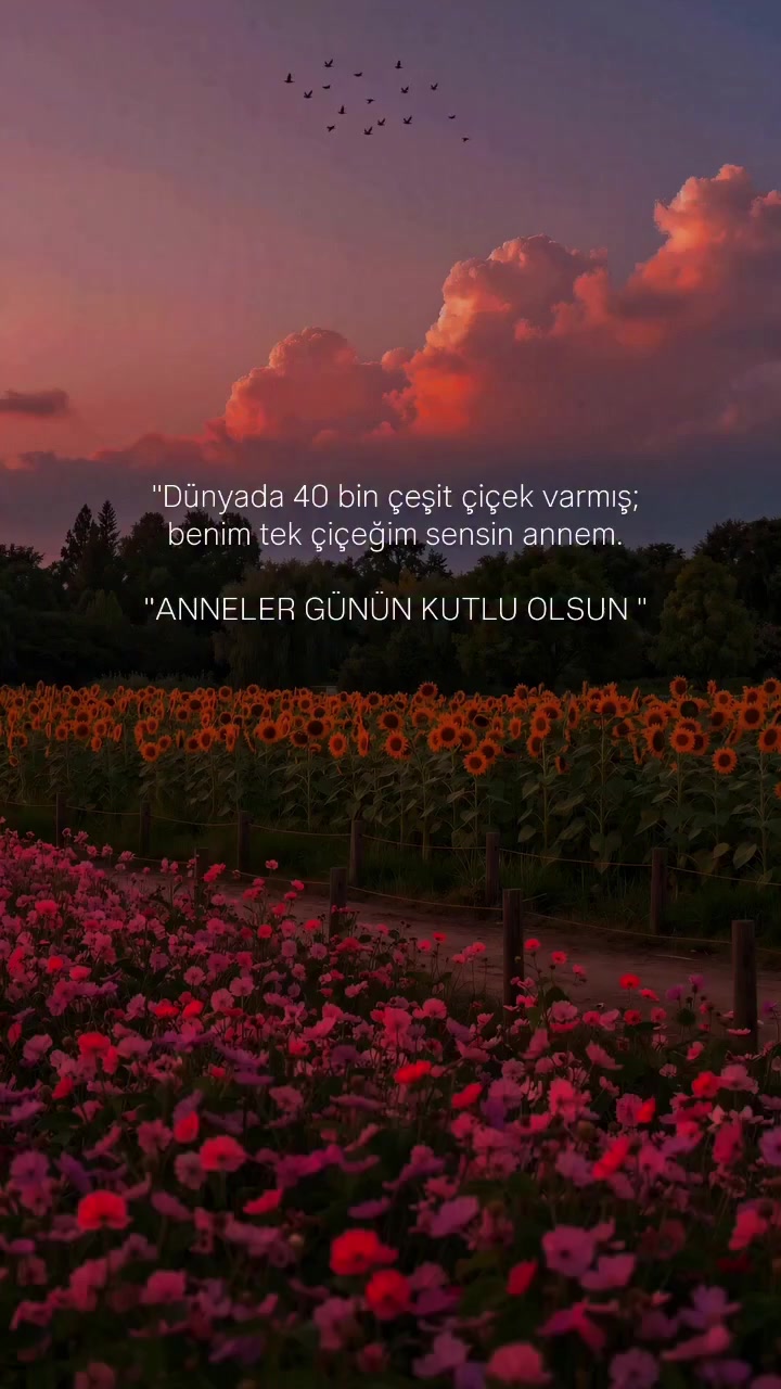 @Ayşe